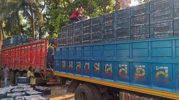 সোনামসজিদ স্থলবন্দর দিয়ে ৩ বছর পর এলো ৬০ টন টমেটো